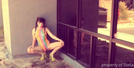 stellaaeternum heiße erwachsene galerie