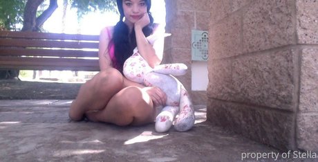 stellaaeternum kunst beste fotos