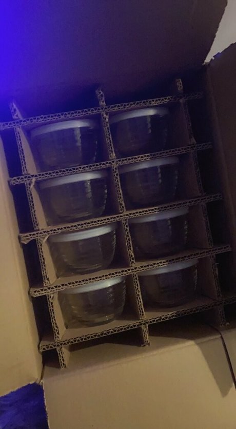 anfällige knochen-onlyfans xxx erotische bilder