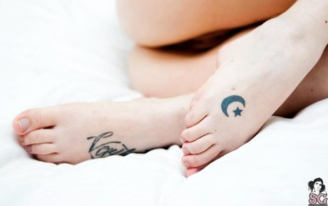 schwarze shemale-onlyfans erotische porno galerien