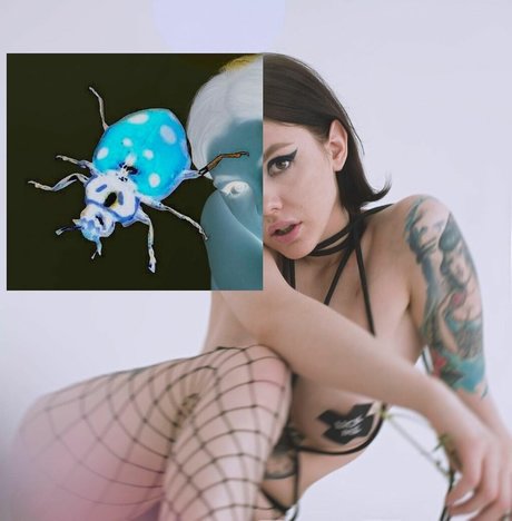 ahahahaaah schöne hübsche archiv