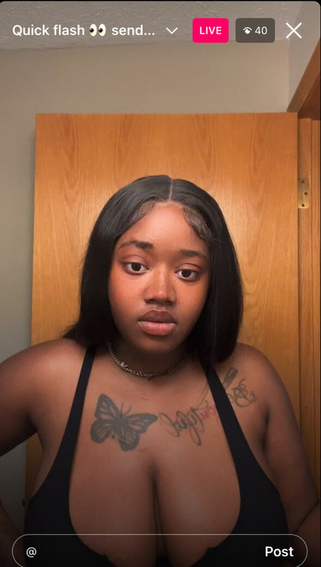 tierra2000 hübsche nette archiv