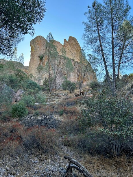 Thatmoonman schöne hübsche foto