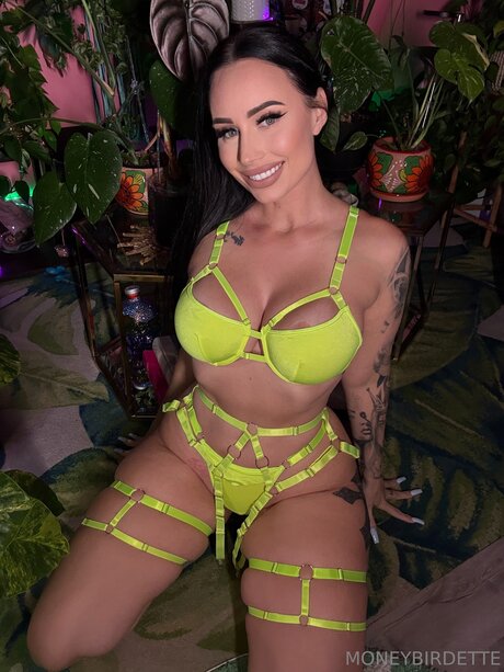 Moneybirdettevip erwachsene hübsche fotos