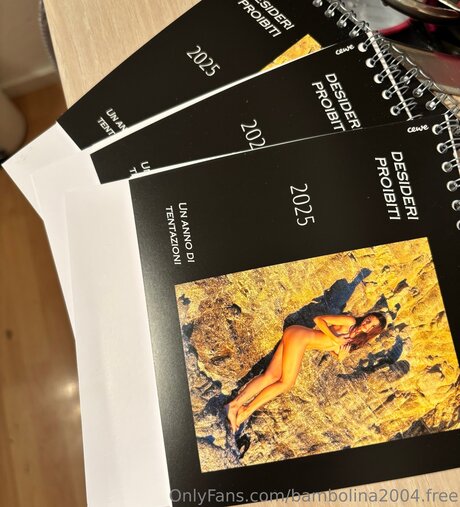 Debbie 2004 model akt archiv