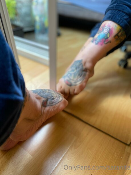 schwarzer hahnrei nur fans perfekte schöne bilder