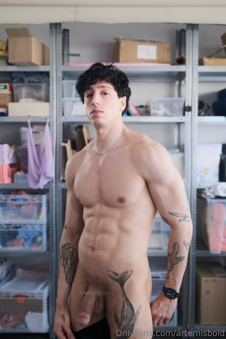 Artemisbold nackt hd archiv