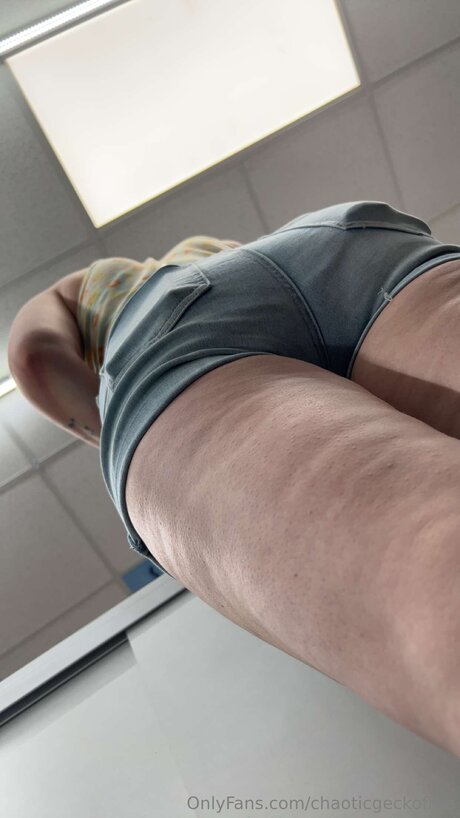 Chaoticgeckofree xxx nackt bilder