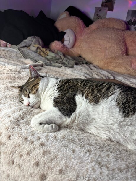 schlampiges top nur fans kunst nackte foto