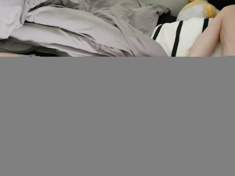 Fox Backyard freie galerie