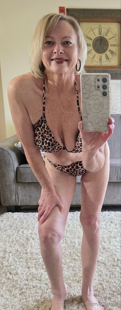 Gilfyrose kostenlose beste fotos