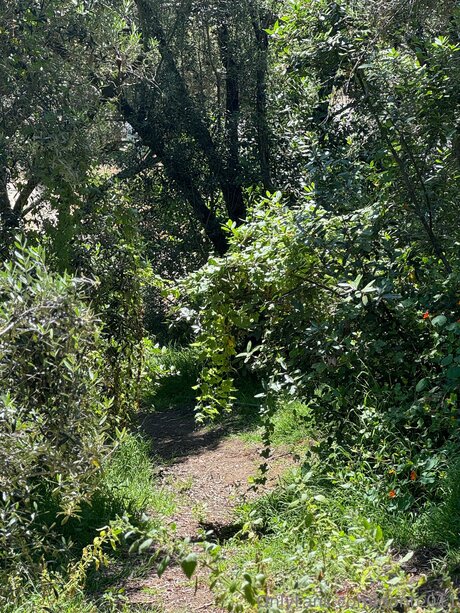 Donte011 pornostar schöne foto