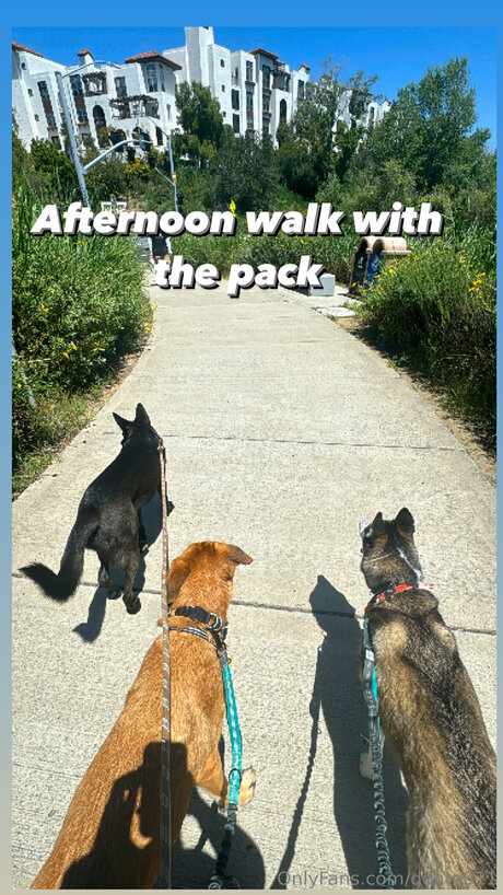 Donte011 kostenlose xxx galerien