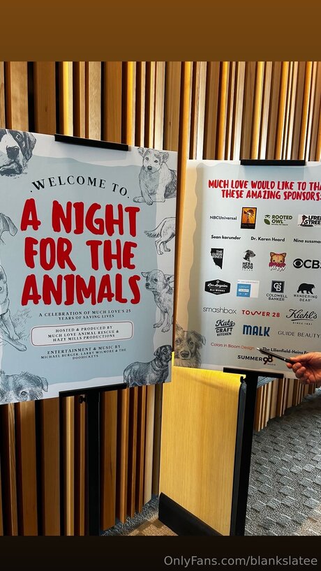 Blankslatee schöne schöne foto