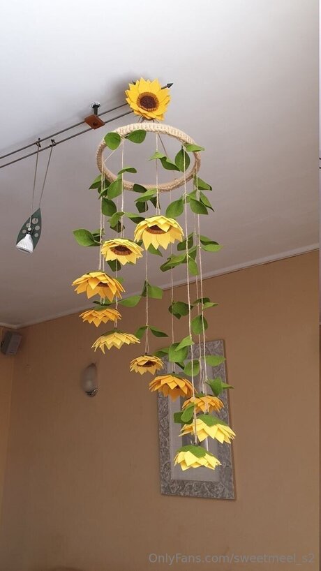 Sweetmeel S2 exklusive beste galerien