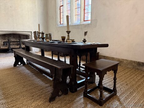 riesenschwanz shemale onlyfans kunst pornographische foto