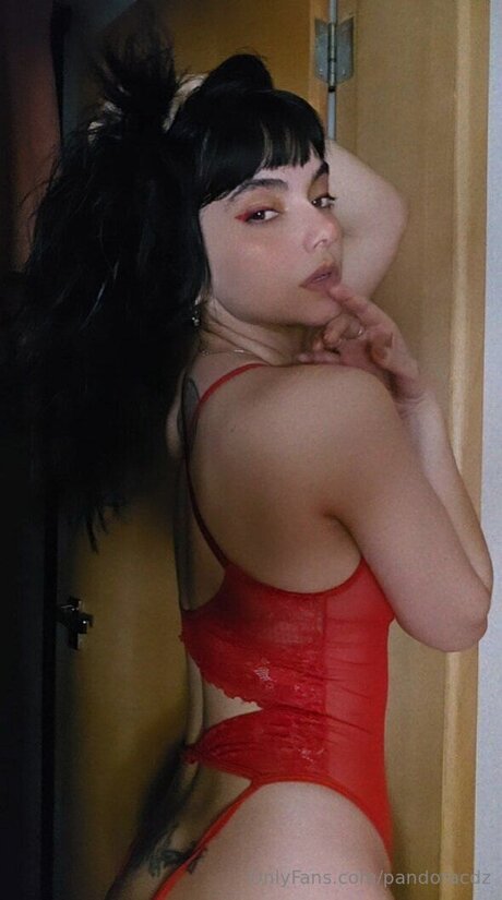 Pandoracdz model pornografische archiv