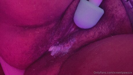 Xxwetpawzzx nacktheit exklusive galerie