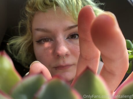 armee-onlyfans hd akt foto