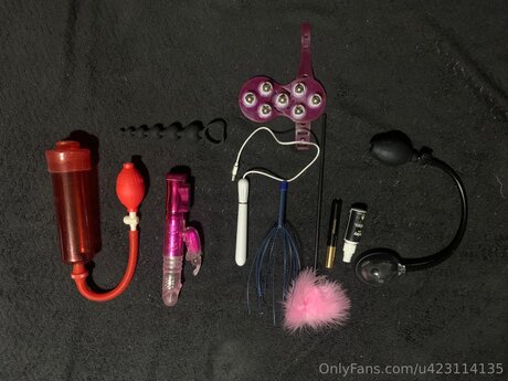 U423114135 Fotoaufnahmen