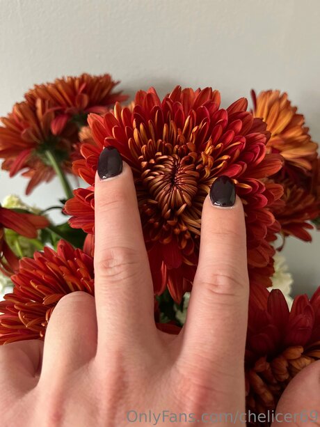 dünne blonde onlyfans heiße porno archiv