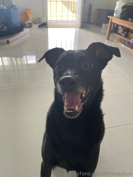 Tkhoneybun nackt erotische fotos