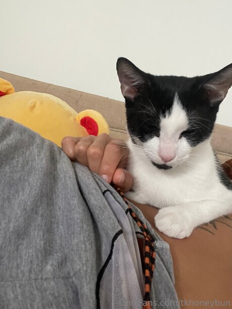 Tkhoneybun erotische sexy bilder