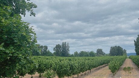 creampie-prinzessin onlyfans exklusive nackte galerien