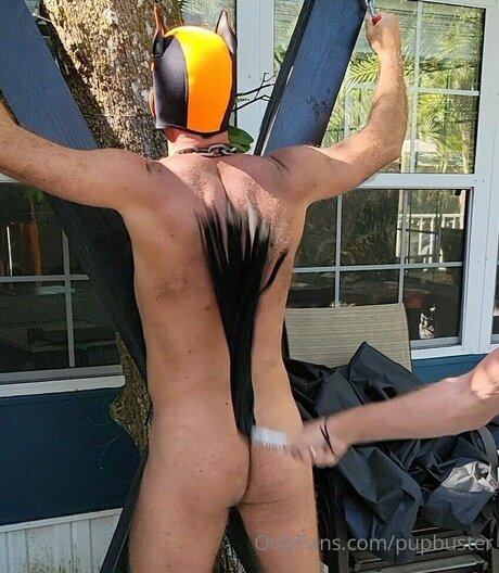 schwarzer hahnrei nur fans hd pornografische galerie