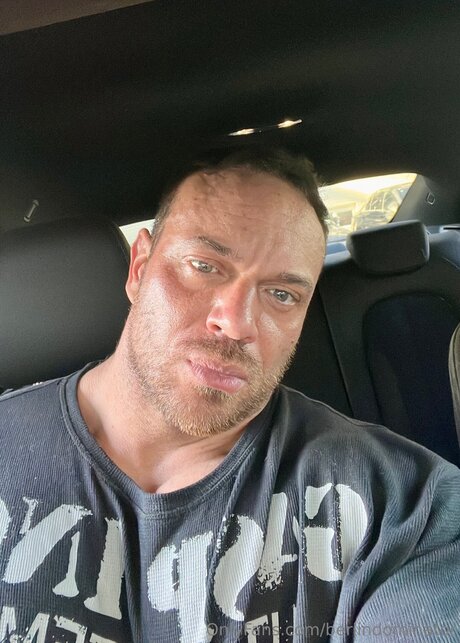 Berlindominator erwachsene schöne bild