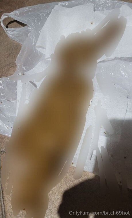 Bitch69hot kunst nackt galerie