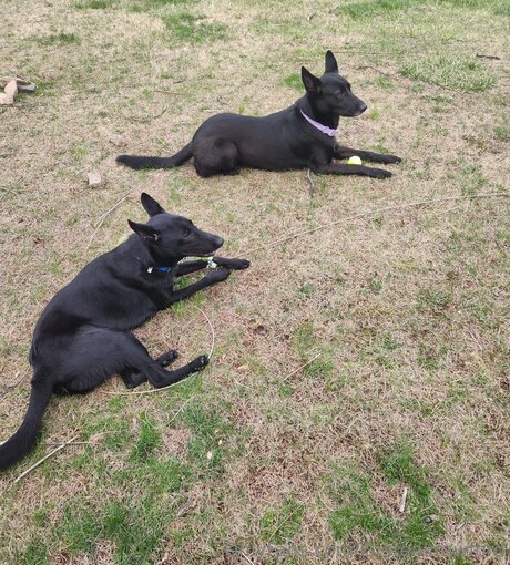 Kirstenkrawford beste nacktheit galerien