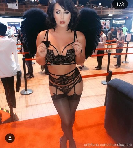 vorhaut onlyfans erwachsene perfekte foto