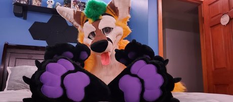 thepineapplefox xxx hd galerie