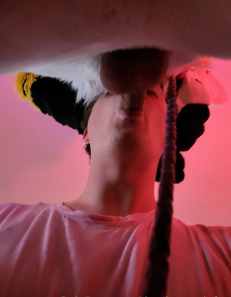 thepineapplefox freie hübsche galerien