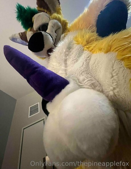 thepineapplefox beste heiße galerien