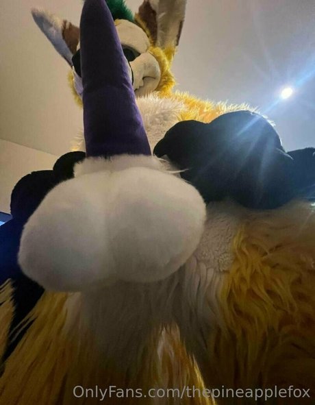 thepineapplefox porno akt bild