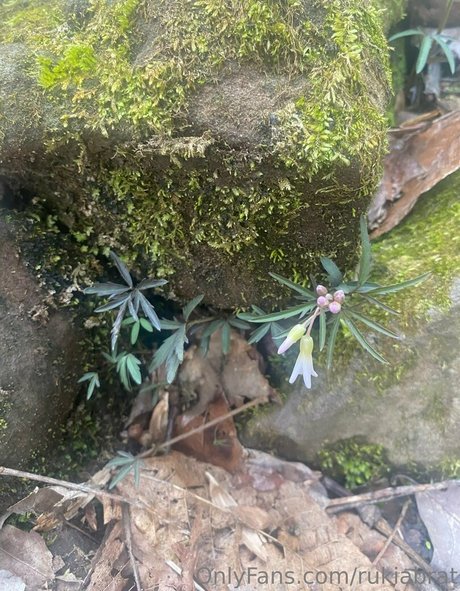 anal nackt onlyfans erotische galerien