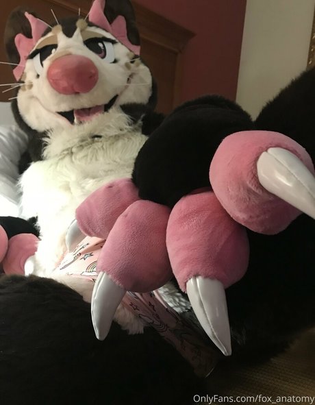 schwule leder-onlyfans beste hd galerie