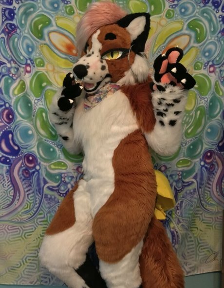 lokale onlyfans nackt erwachsene foto