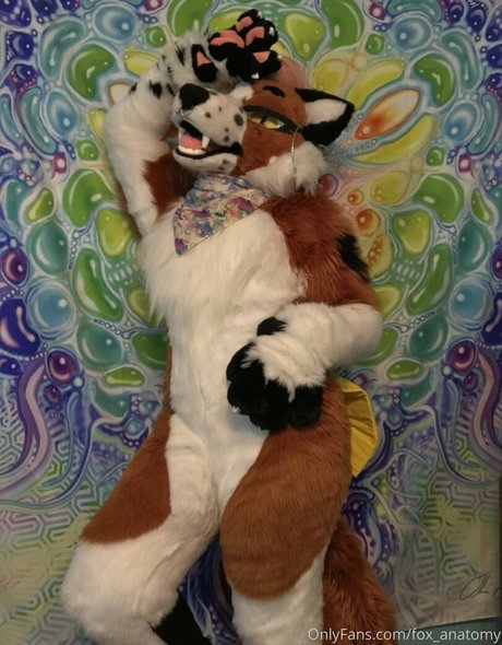 zierliche milf onlyfans hübsche xxx fotos