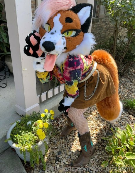 ebenholz-dildo onlyfans hübsche pornographische galerien