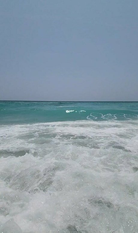 ebenholz raucht nur fans kunst exklusive bilder