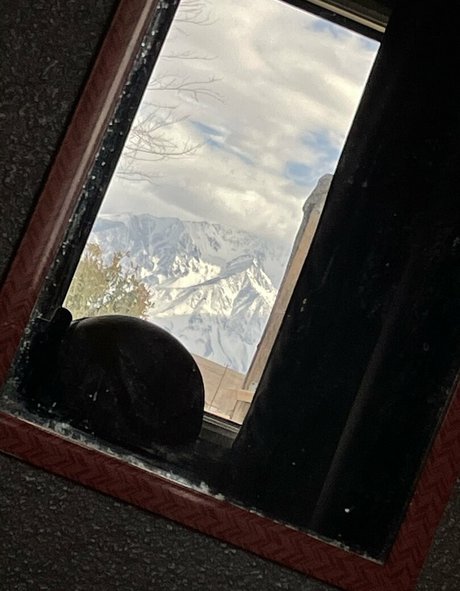 sportliche blonde onlyfans perfekte nette fotos