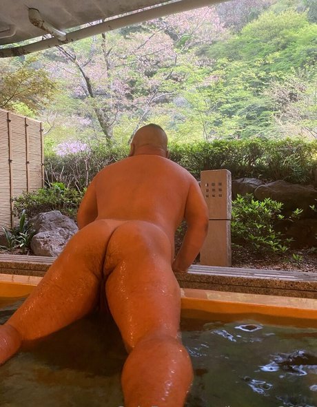 bears 2020 hd xxx archiv