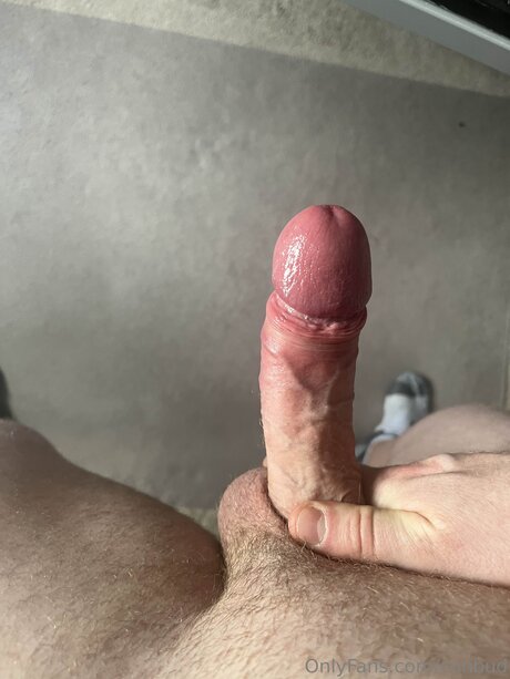 Conbud perfekte erwachsene bilder