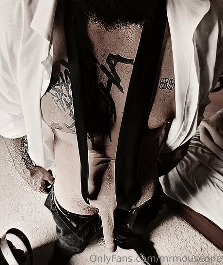 Mrmouseone akt bilder