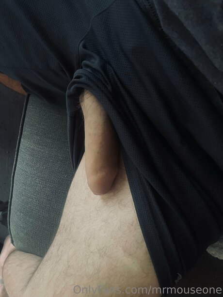 Mrmouseone pornografische pornostar galerie