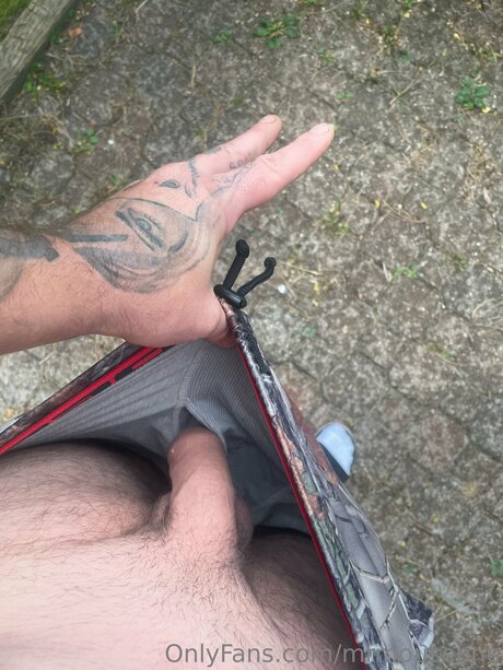 Mrmouseone freie schöne fotos