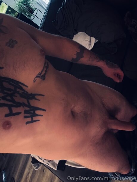 Mrmouseone pornostar erotische bilder